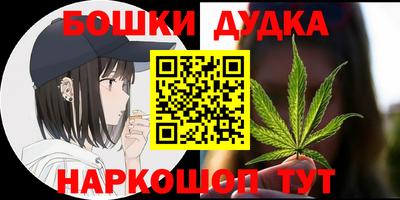 a pvp Камышлов
