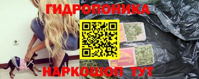 a pvp Камышлов