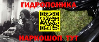 крисы Кандалакша