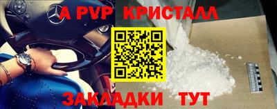 a pvp Камышлов