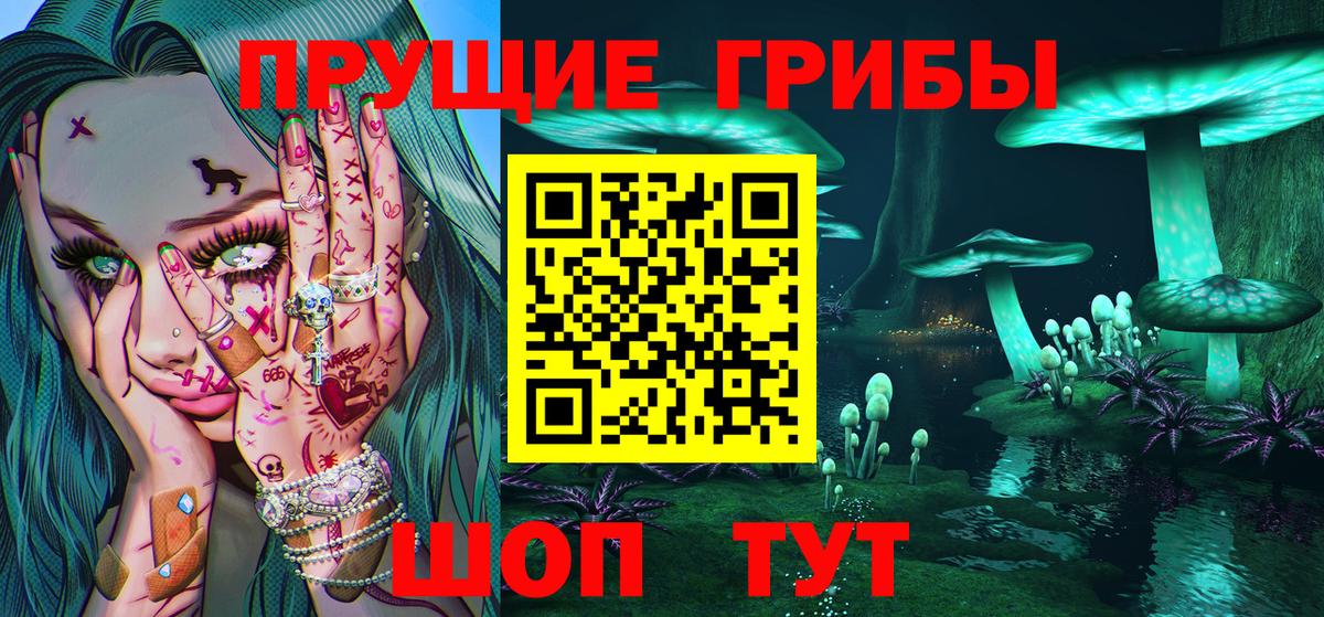 Псилоцибиновые грибы мицелий  Вход с VPN  Псилоцибиновые грибы GOLDEN TEACHER  Краснокаменск 